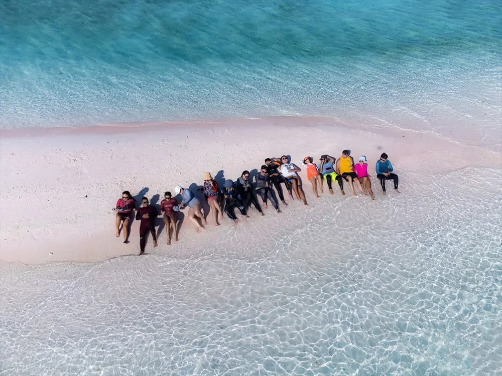 ทริปดำน้ำ