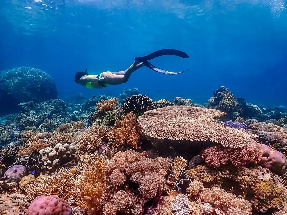 ทริปดำน้ำ