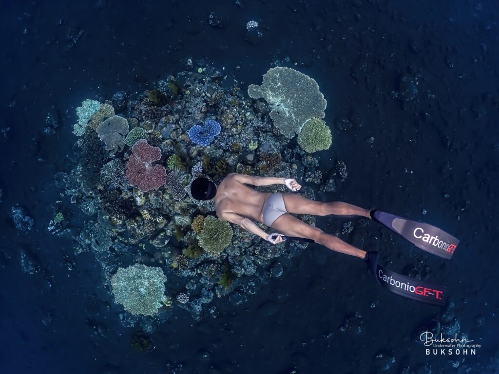 การดำน้ำแบบ Freedive ทำให้เราได้ประสบการณ์ที่แตกต่าง เห็นโลกใต้น้ำแบบใกล้ชิดมากยิ่งขึ้น