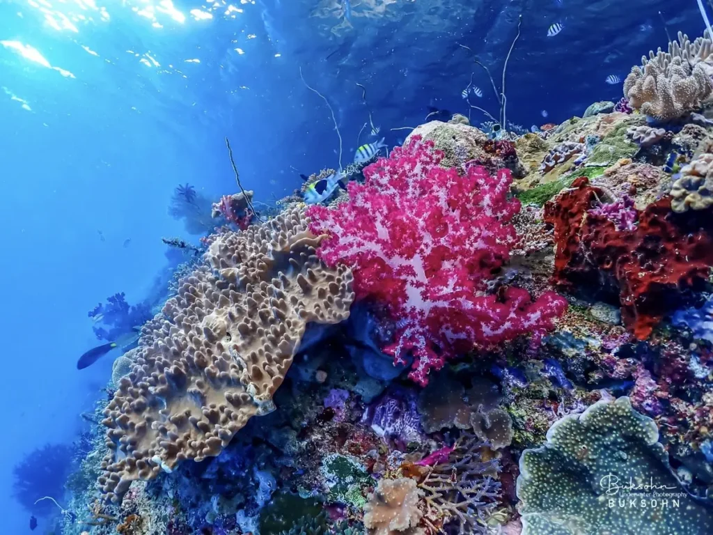 Raja Ampat