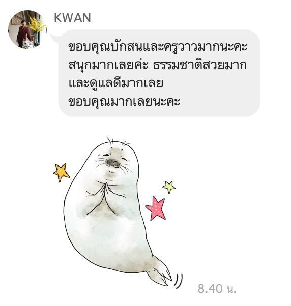 Customer Feedback